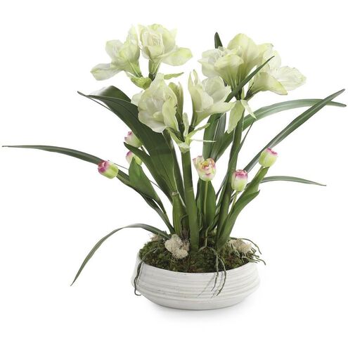 Amaryllis Garden Floral