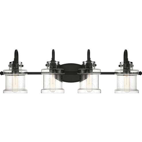 Danbury 4 Light 32 inch Earth Black Bath Light Wall Light