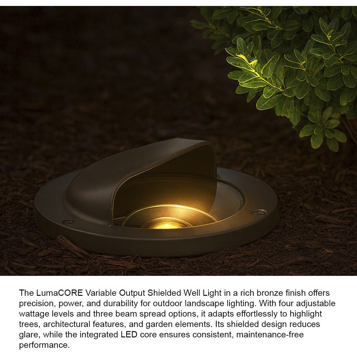 Hardy Island Shielded 12v 12.00 watt Bronze Landscape Well Light in 2700K, Variable Output