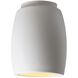 Radiance Curved LED 6.75 inch White Crackle Outdoor Flush-Mount