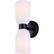 Darius 2 Light 4.75 inch Matte Black Wall Fixture Wall Light