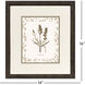 Neutral Imperial II Brown and Neutral Framed Art, Propac