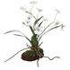 Clovis White and Green Orchid Drop-In