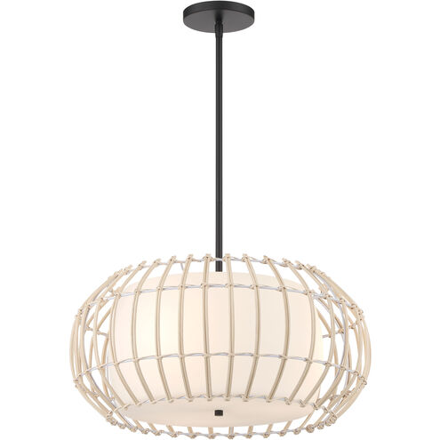 Watermill 3 Light 20 inch Coal Pendant Ceiling Light
