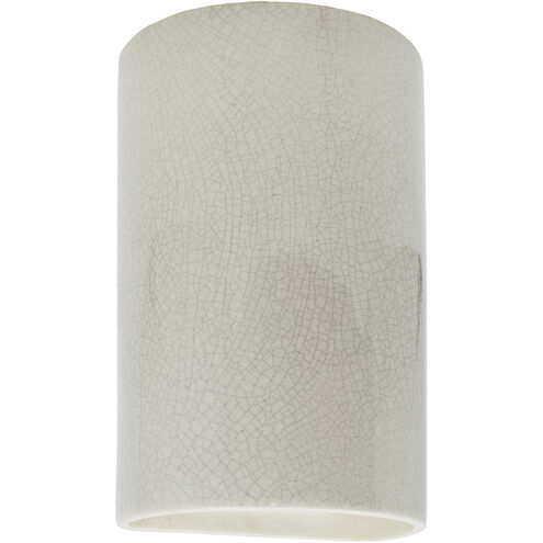 Ambiance Cylinder LED 12.5 inch White Crackle Outdoor Wall Sconce, Large