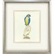 Treasure Parrot Blue and Green and Multi and Yellow Framed Art