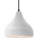 Radiance LED 11.5 inch Bisque and Matte Black Pendant Ceiling Light