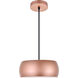 Flynn 2 Light 10 inch Honey Gold Pendant Ceiling Light