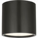 Mick De Giulio Dola LED 6 inch Bronze Flush Mount Ceiling Light