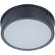Fenn LED 11 inch Flat Black Flushmount Ceiling Light