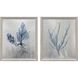 Oceanic Curiosity Blue and Metallic Framed Art, The Studio
