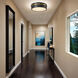 Dax LED 12 inch Black and Brass Flush Mount Ceiling Light