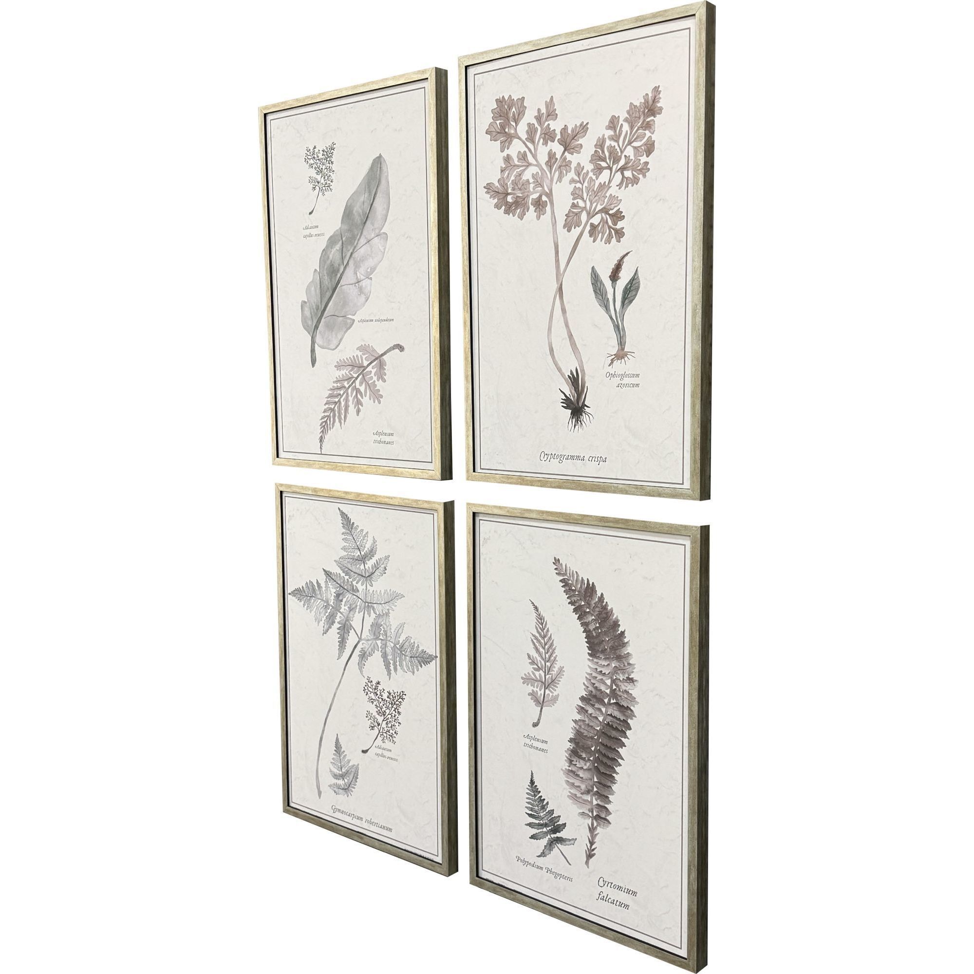 Fern Study Gray and Beige and Green Framed Art