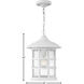 Freeport Coastal Elements LED 10 inch Textured White Outdoor Hanging Lantern