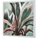 Variegate Green with Coral Framed Wall Art