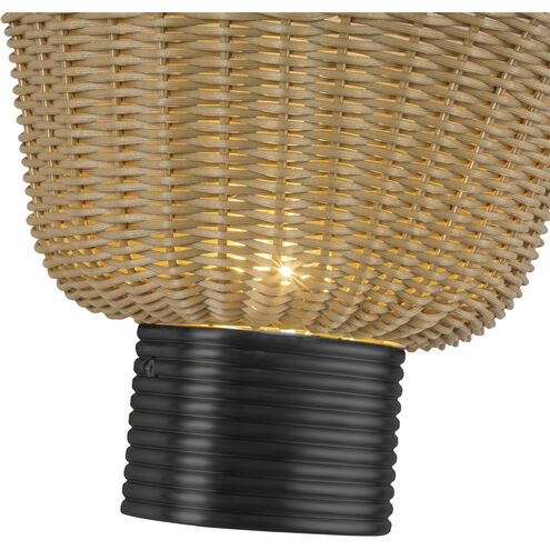 Alora Mood Rancho 1 Light 13.88 inch Matte Black Bath Vanity Light Wall Light