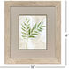 Botanical Bliss Green and Beige and White Framed Art, Propac