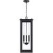 Hunt 4 Light 11 inch Black Outdoor Hanging Lantern