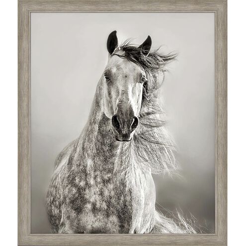 Animals Collection Beige Framed Art