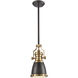 Chadwick 1 Light 8 inch Oil Rubbed Bronze with Satin Brass Mini Pendant Ceiling Light