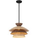 Mid-Century Modern 1 Light 17 inch Matte Black Pendant Ceiling Light