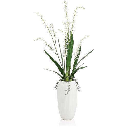 Elegant White Botanical/Floral