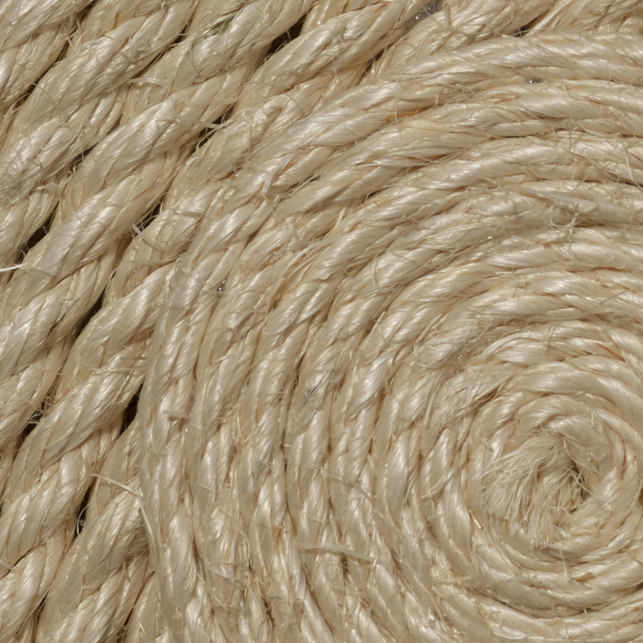 Barbados Natural Wall Art, Small