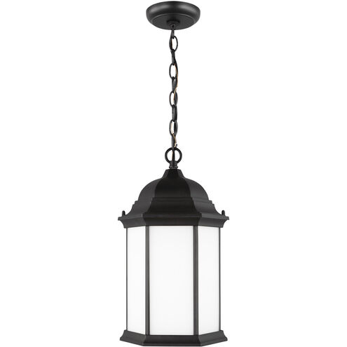 Sevier 1 Light 9.38 inch Black Outdoor Pendant