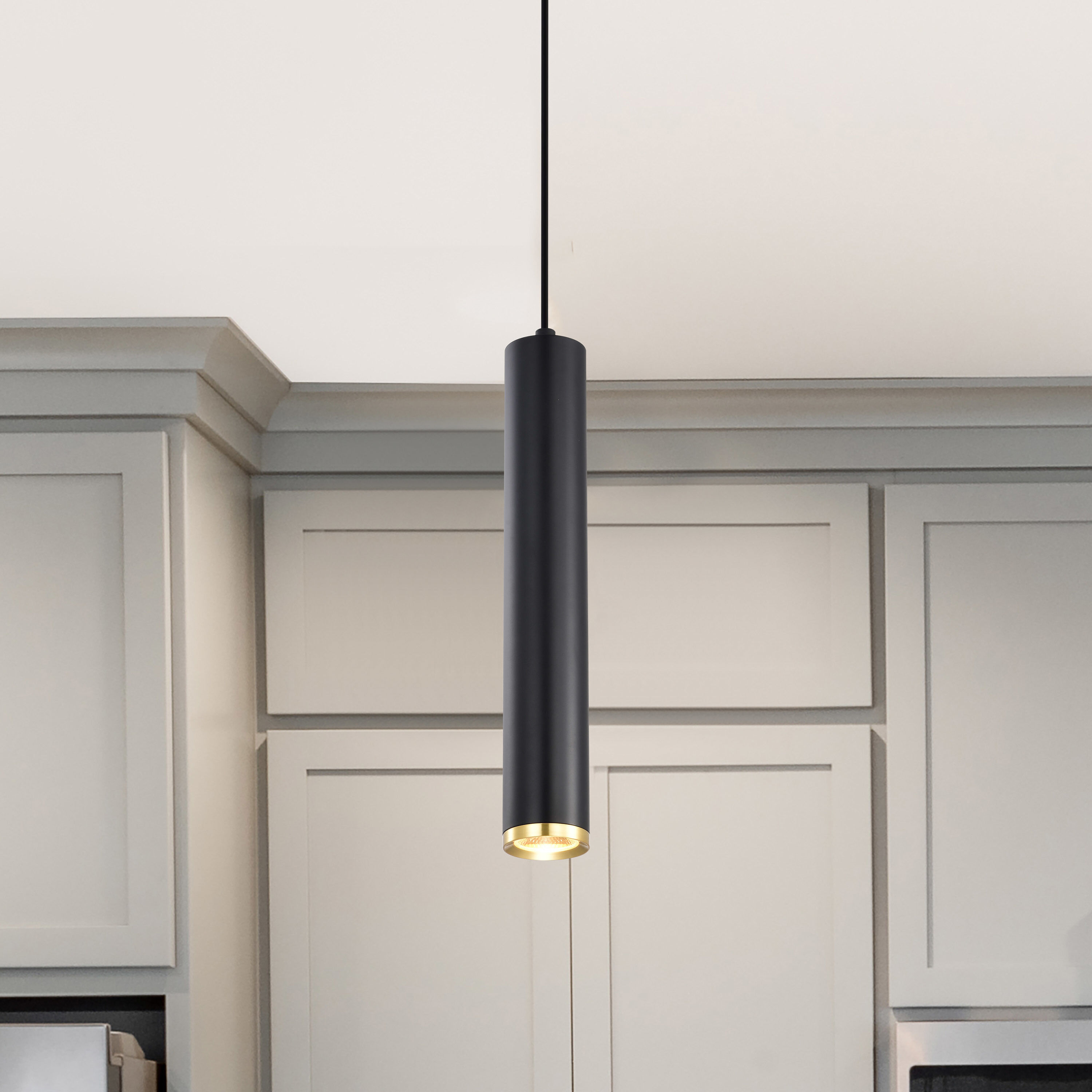 Century LED 2.56 inch Matte Black and Brushed Brass Pendant Ceiling Light