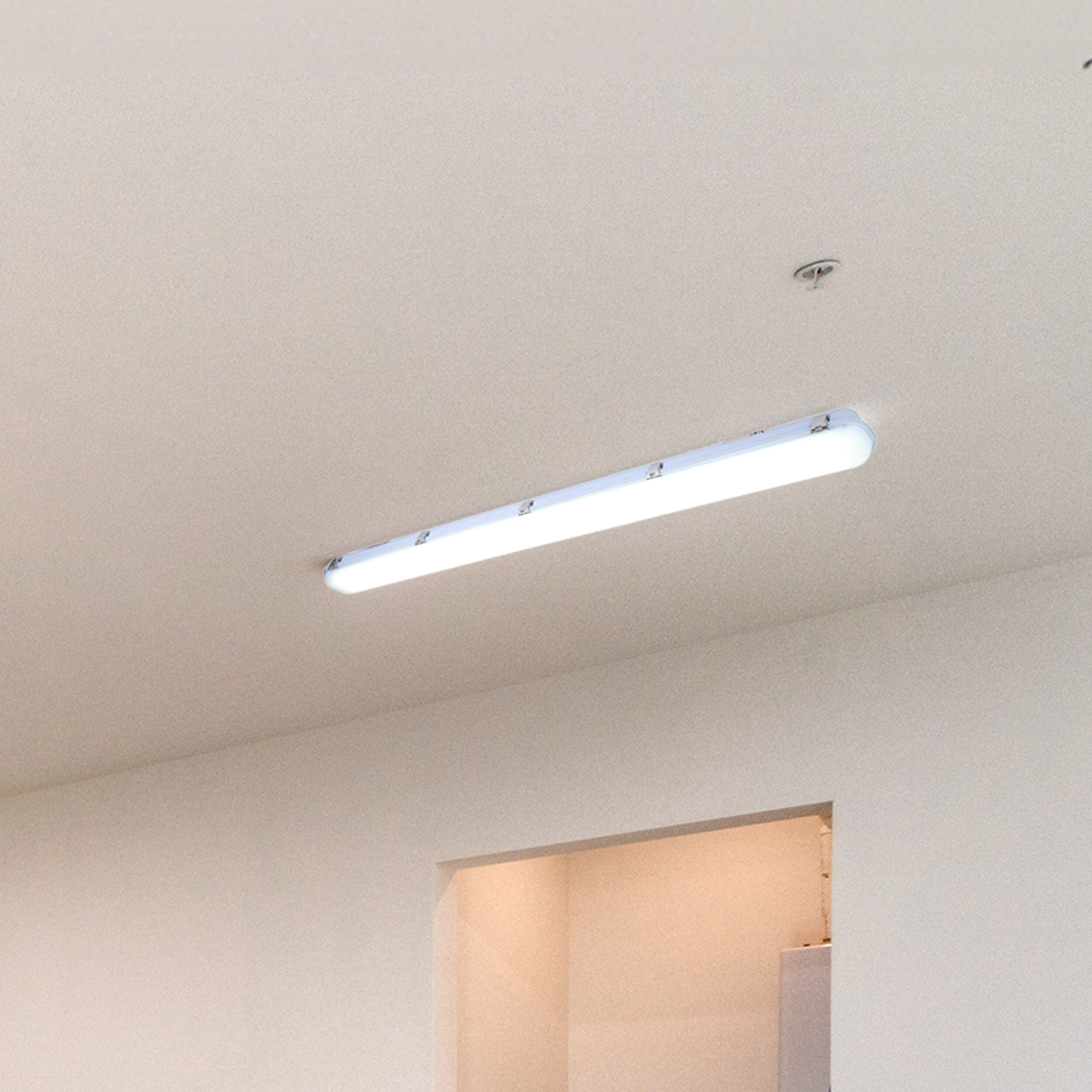 Madison LED 4 inch White Utility Light