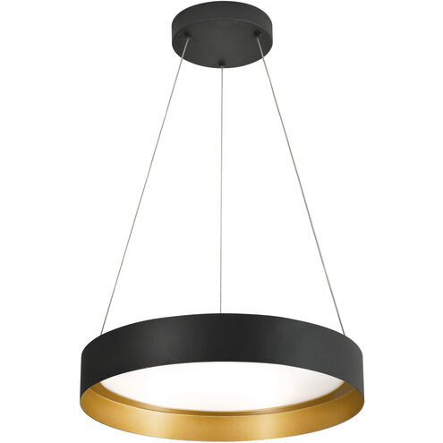 Reveal LED 20 inch Black Pendant Ceiling Light
