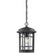 Barrister 1 Light 9 inch Weathered Pewter Outdoor Hanging Lantern