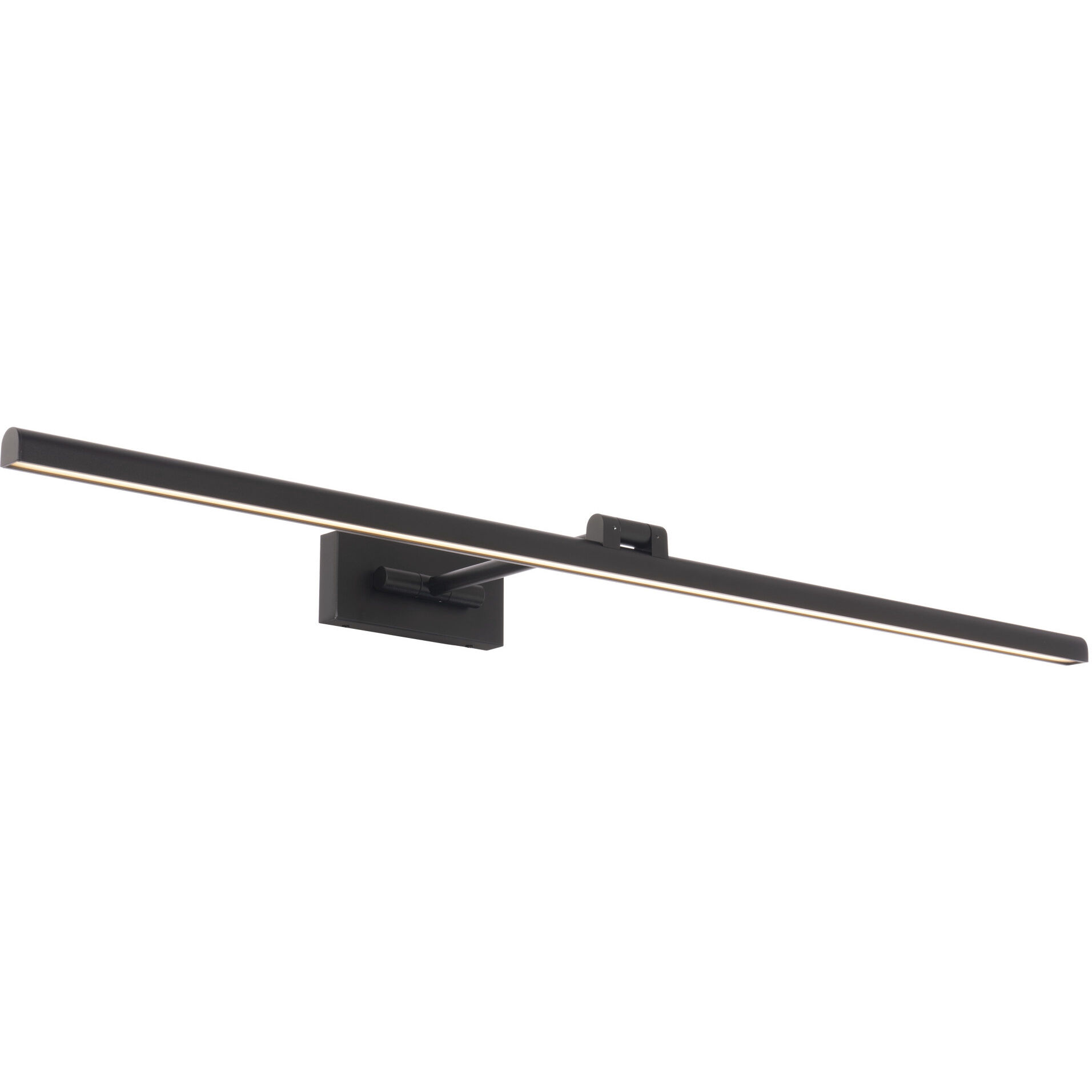 Reed 29.80 watt 42 inch Black Picture Light Wall Light, dweLED