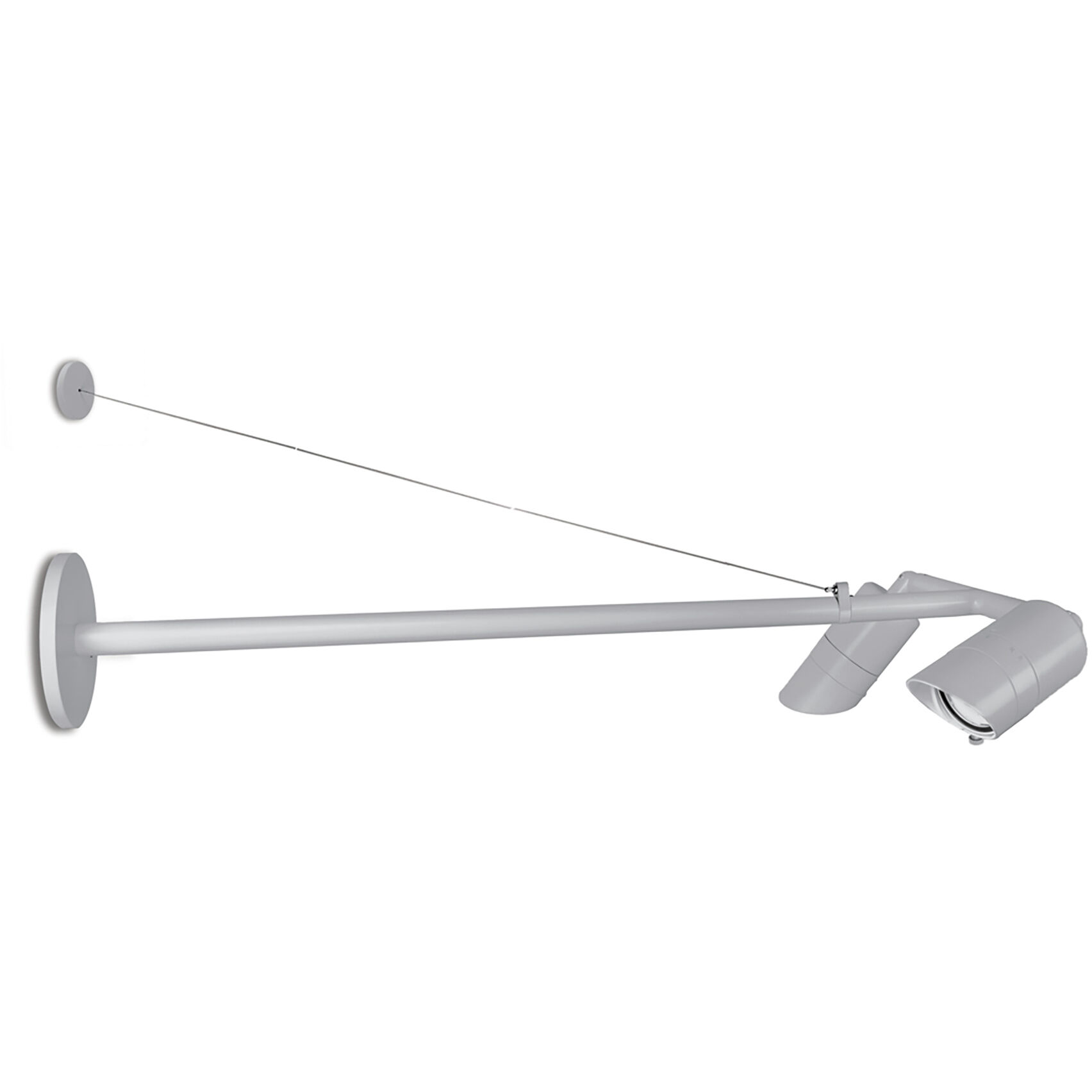 Endurance 2 Light 48.63 inch Outdoor Wall Light