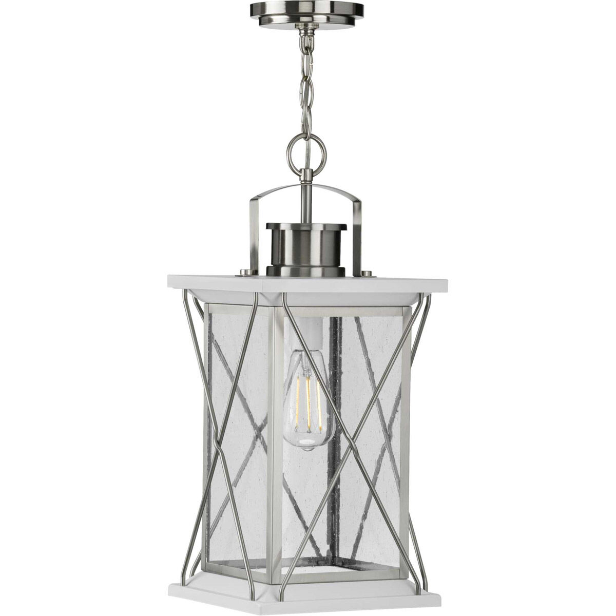 Barlowe 1 Light 9 inch Stainless Steel Outdoor Hanging Lantern