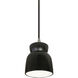 Radiance Collection 1 Light 8 inch Carbon Matte Black Pendant Ceiling Light