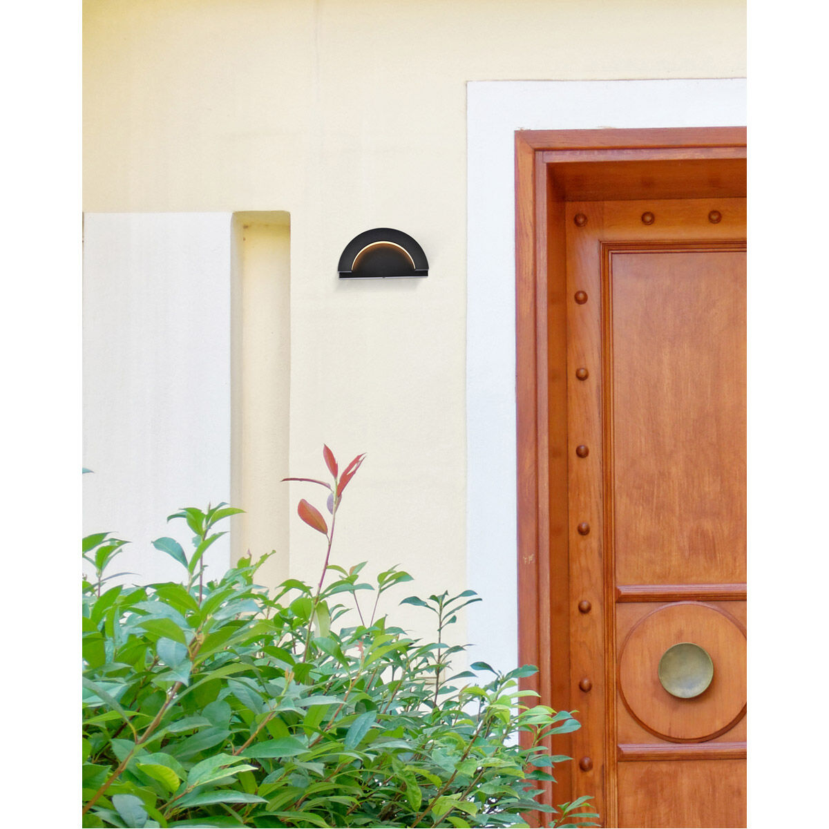 Raine Outdoor Wall Light in Black