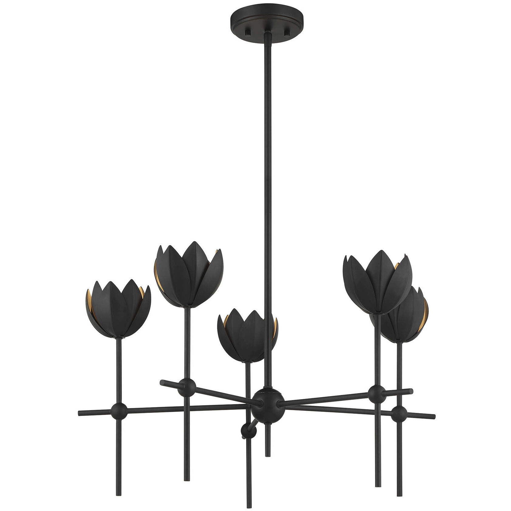 Bohemian LED 26 inch Matte Black Chandelier Ceiling Light