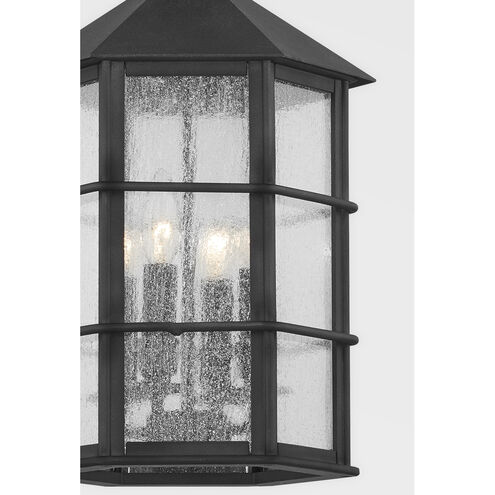 Lake County 4 Light 12 inch French Iron Outdoor Pendant