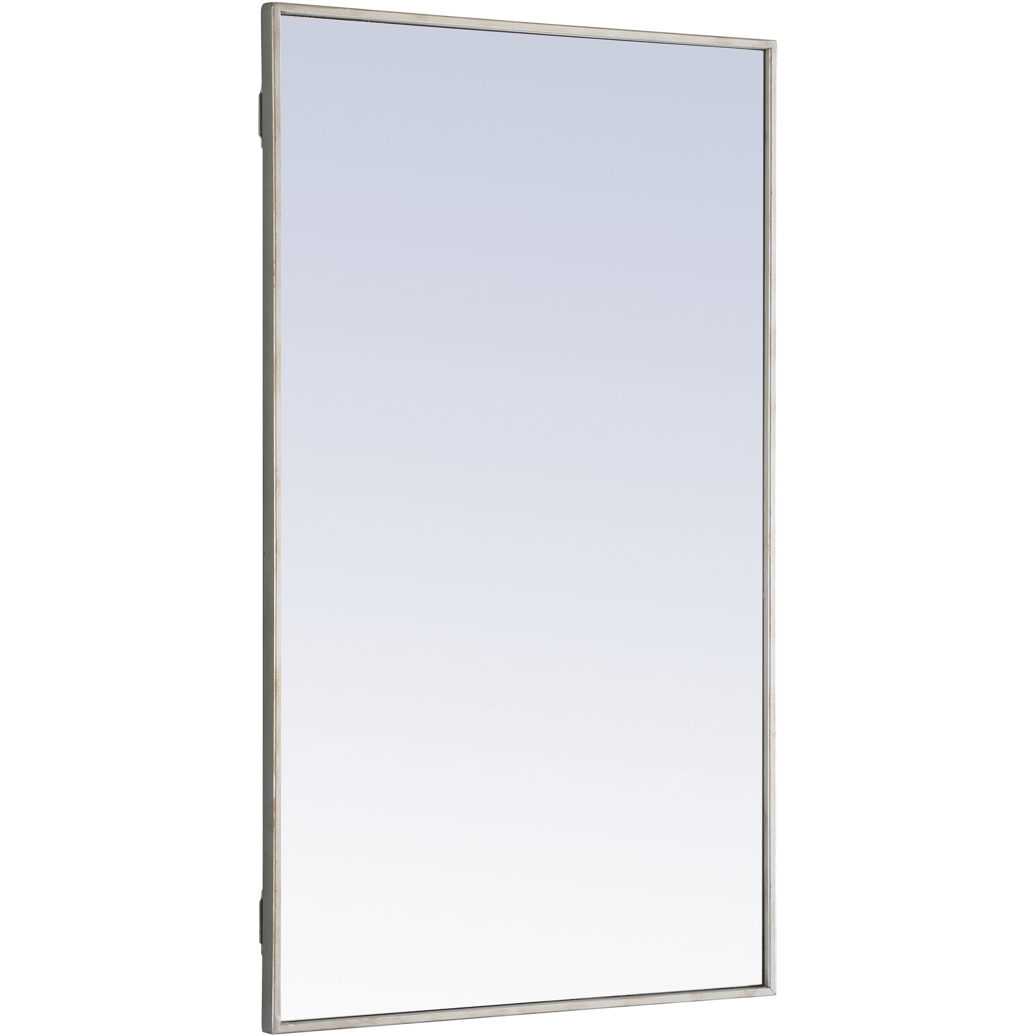 Monet 40 X 24 inch Silver Wall Mirror