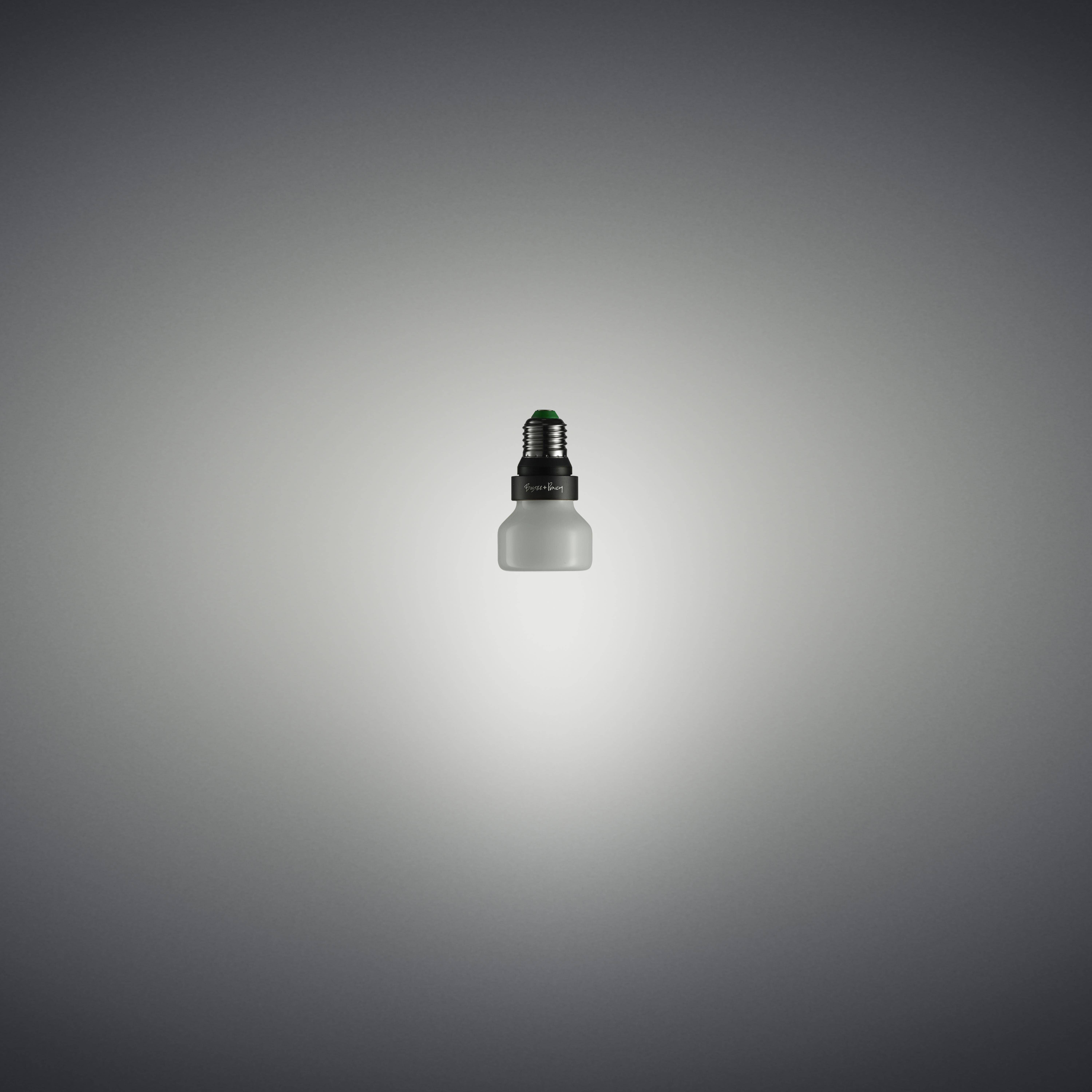 Punch LED E26 2.00 watt 110-240 2700K Light Bulb, Puck