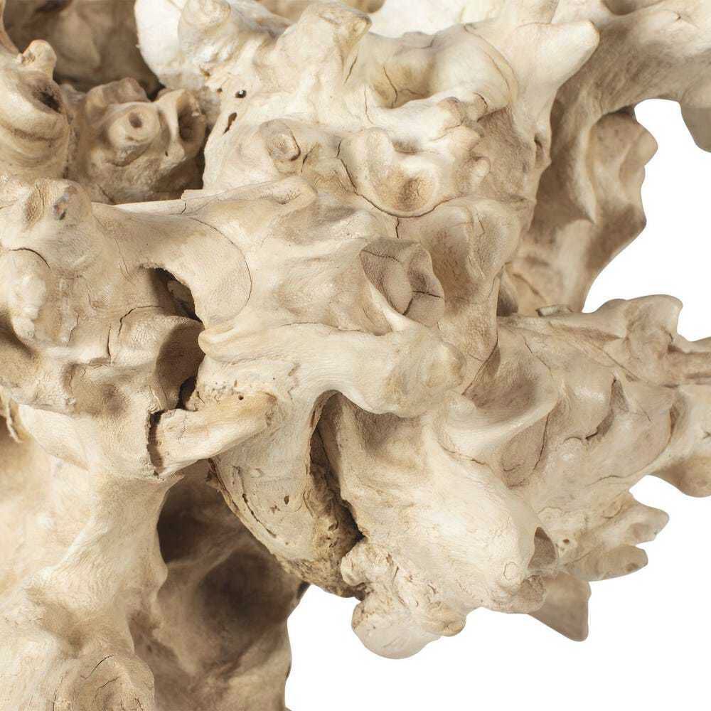 Elemental Root Bleached Residi Wood Outdoor Sculptures, Set of 2
