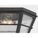 Lake County 2 Light 14 inch French Iron Flush Mount Ceiling Light