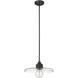 Paloma 1 Light 14 inch Matte Black Pendant Ceiling Light