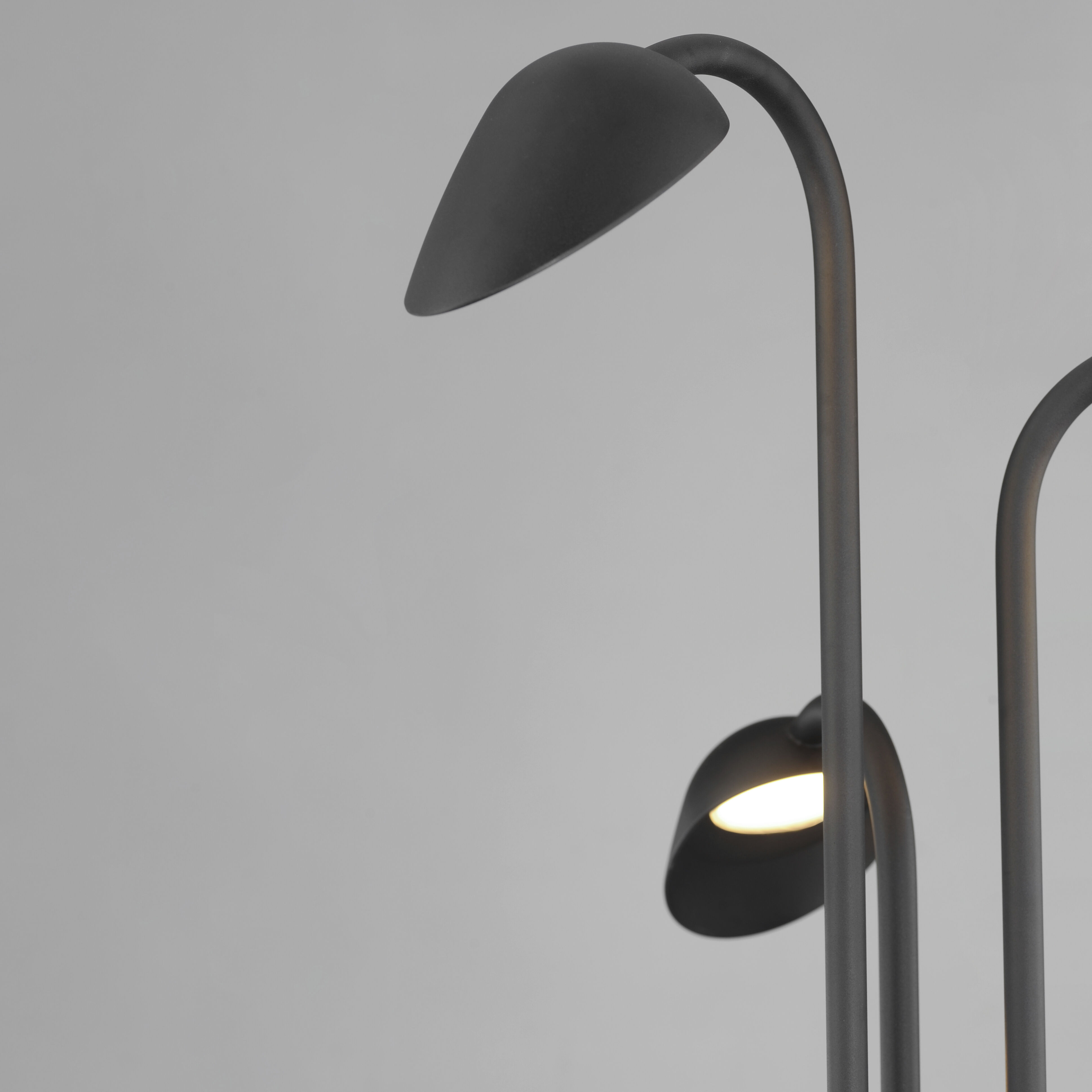 Marsh 12 5.00 watt Black Outdoor Pathway Light