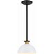 Gigi 1 Light 10 inch Black and Aged Brass Mini Pendant Ceiling Light