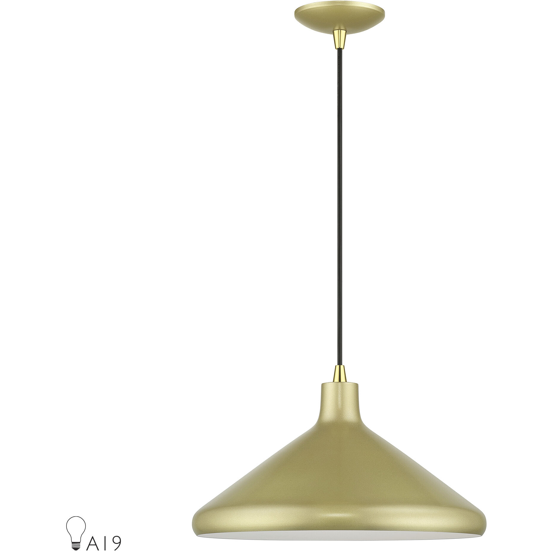 Geneva 1 Light 15.25 inch Soft Gold with Polished Brass Accents Pendant Ceiling Light
