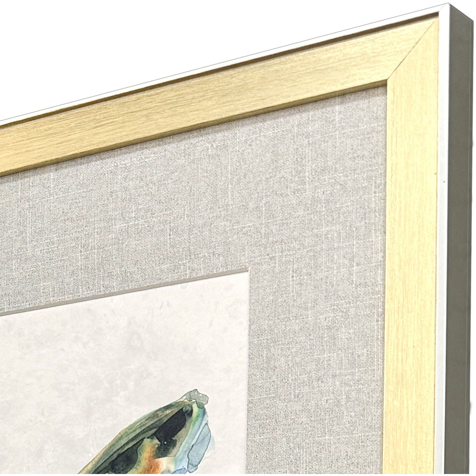 Watery Butterfly Blue and Green and Multi and Orange Framed Art, Propac