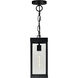 Windsor 1 Light 7 inch Black Outdoor Hanging Light