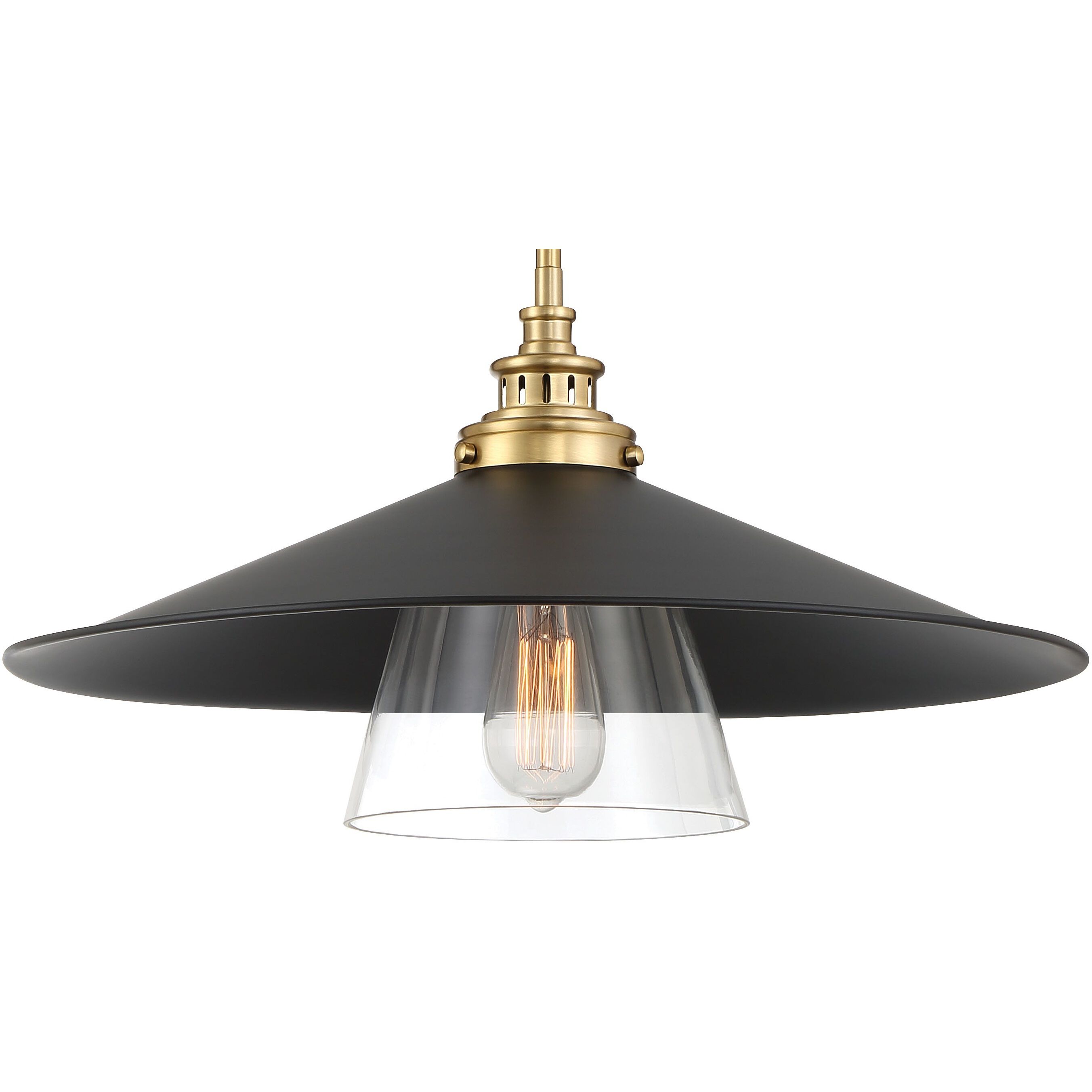 Segan 1 Light 20 inch Coal & Soft Brass (Painted) Pendant Ceiling Light, Outdoor